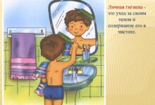 Photo of Совы: как обеспечить гигиену