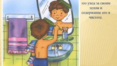 Photo of Совы: как обеспечить гигиену