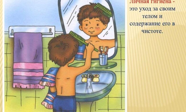 Photo of Совы: как обеспечить гигиену