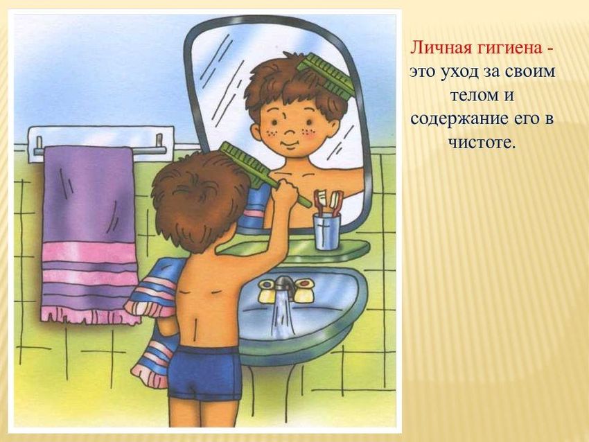 Фото 21 — Совы: как обеспечить гигиену