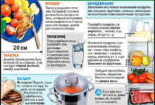 Photo of Кормление совы: полезные рекомендации