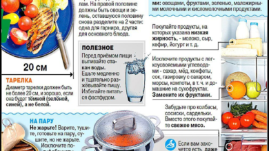 Photo of Кормление совы: полезные рекомендации