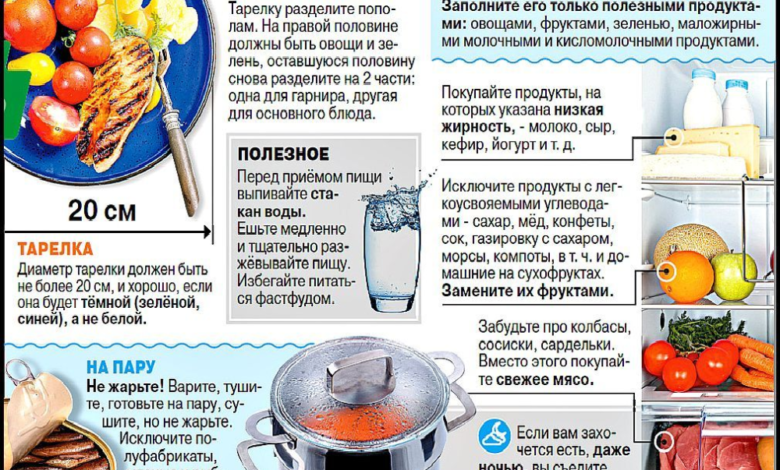 Photo of Кормление совы: полезные рекомендации