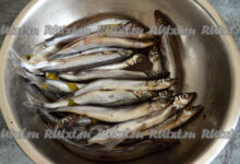 Photo of Уход за совой в домашних условиях