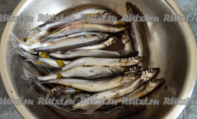 Photo of Уход за совой в домашних условиях