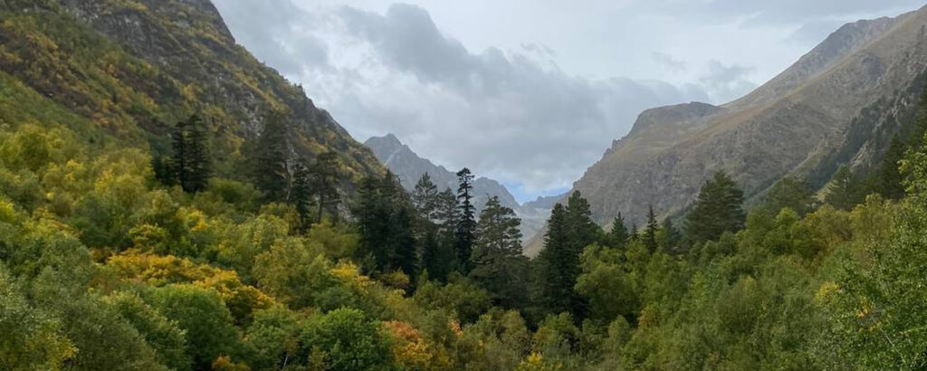 Фото 16 — Как создать атмосферу для совы