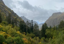 Photo of Как создать атмосферу для совы