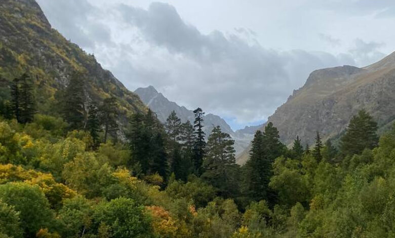 Photo of Как создать атмосферу для совы