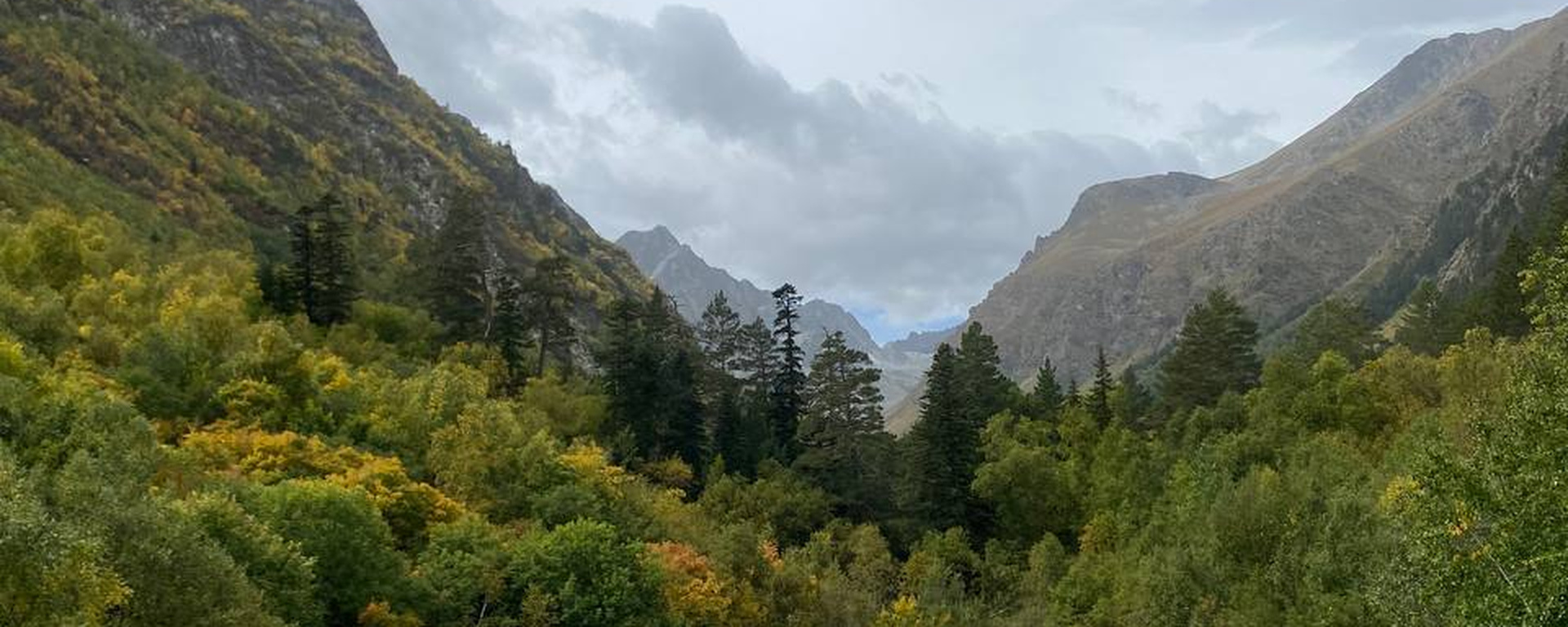 Фото 16 — Как создать атмосферу для совы