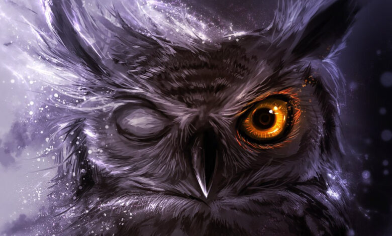 Photo of Совы: как обеспечить гигиену