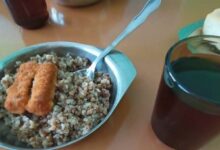 Photo of Совы: как обеспечить питание