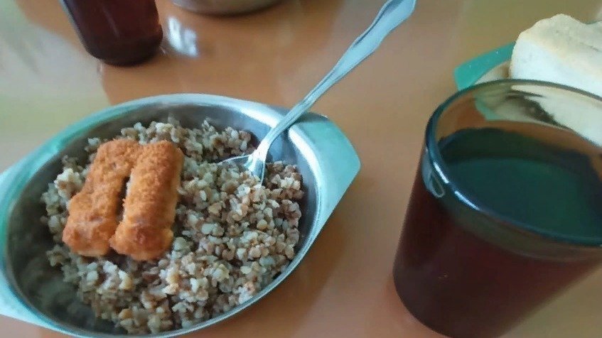 Фото 12 — Совы: как обеспечить питание