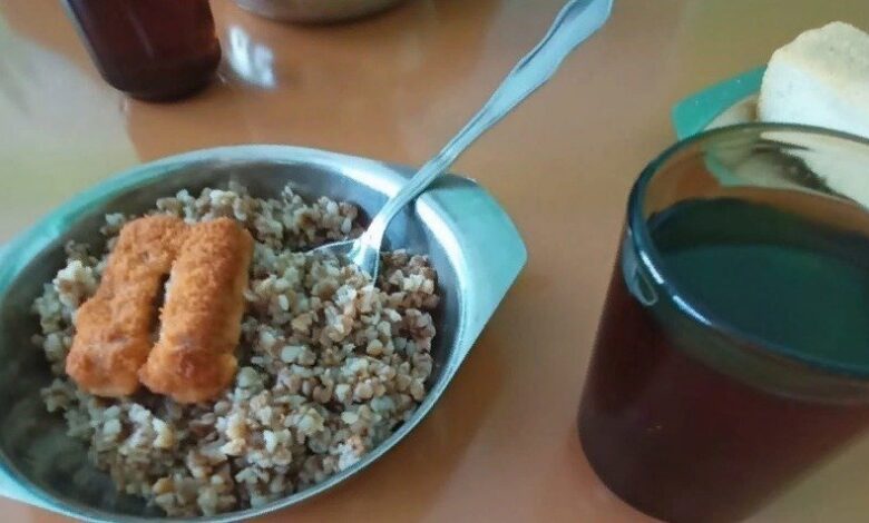 Photo of Совы: как обеспечить питание