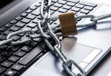 Photo of Совы: как обеспечить безопасность