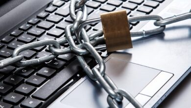 Photo of Совы: как обеспечить безопасность