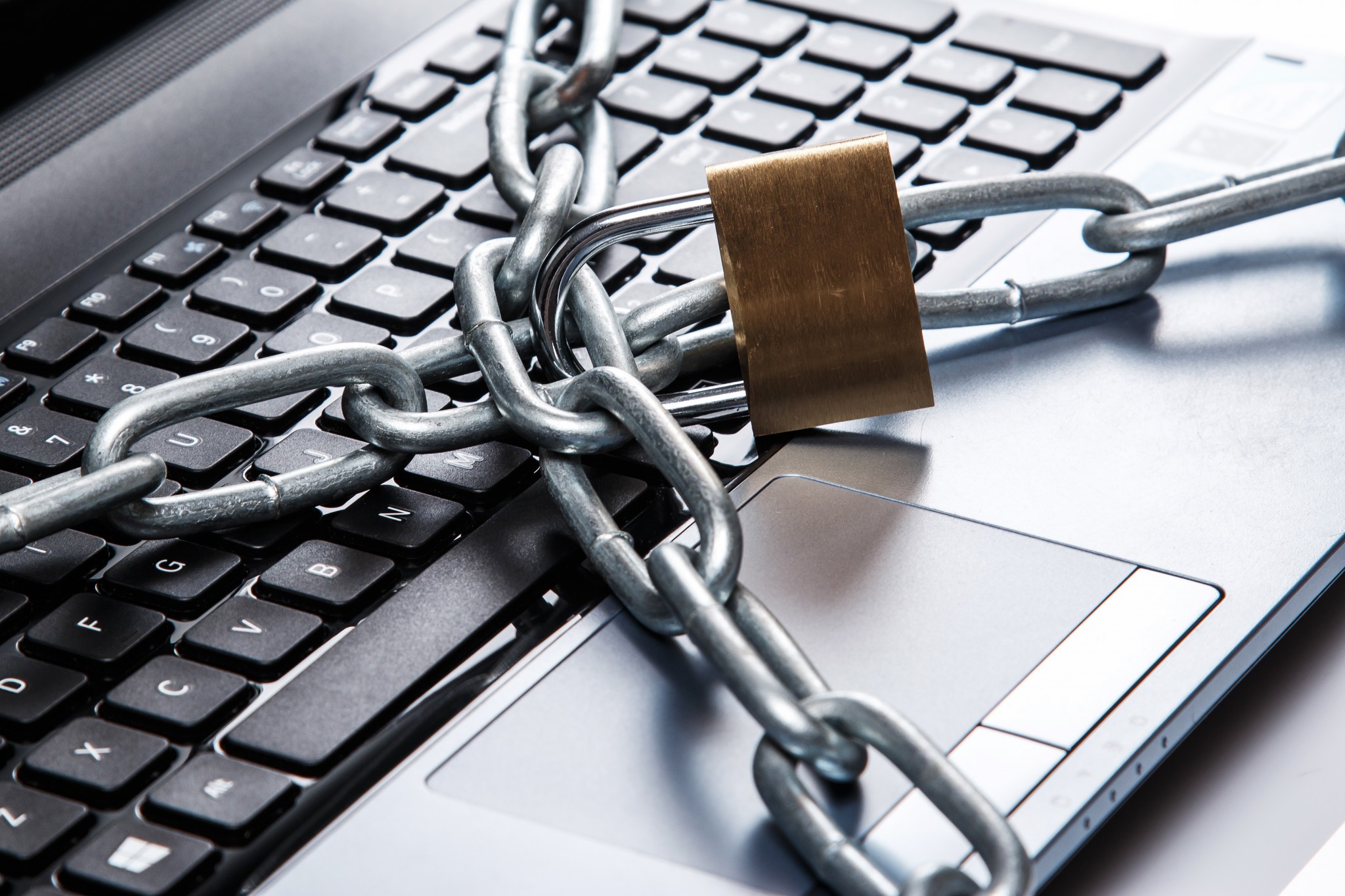 Фото 18 — Совы: как обеспечить безопасность