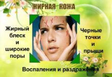 Photo of Совы: особенности ухода