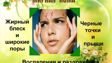 Photo of Совы: особенности ухода