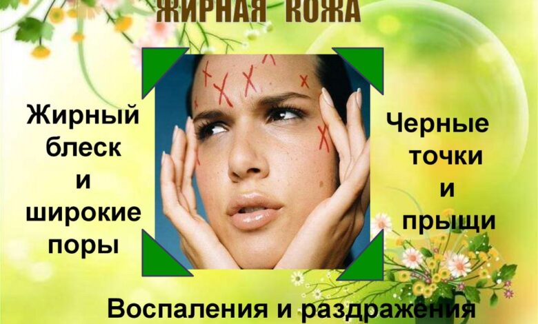 Photo of Совы: особенности ухода