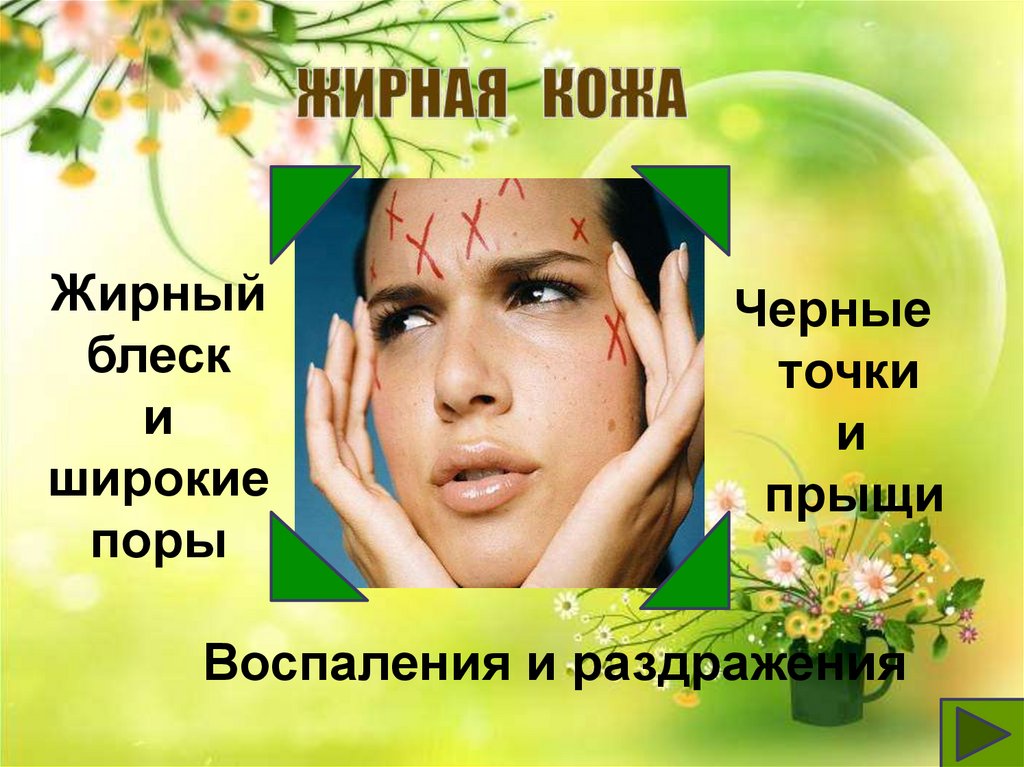 Фото 3 — Совы: особенности ухода