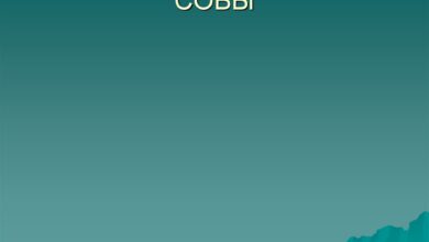 Photo of Совы: особенности ухода