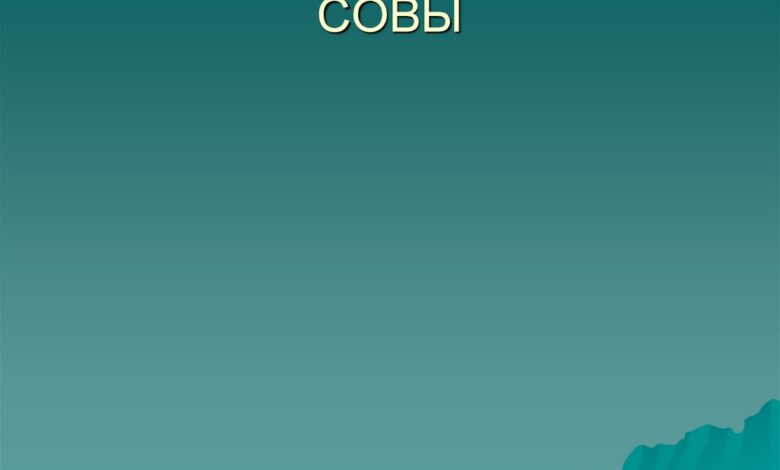 Photo of Совы: особенности ухода